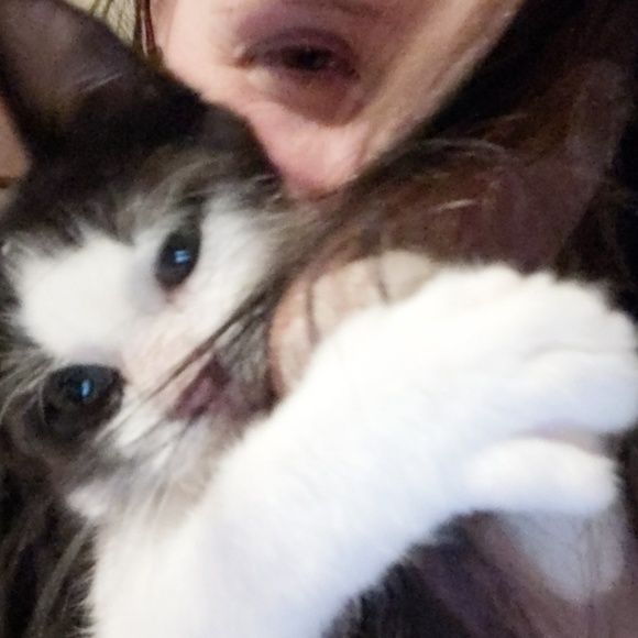 Meet your Posher, Jesse - Picture 1 of 1